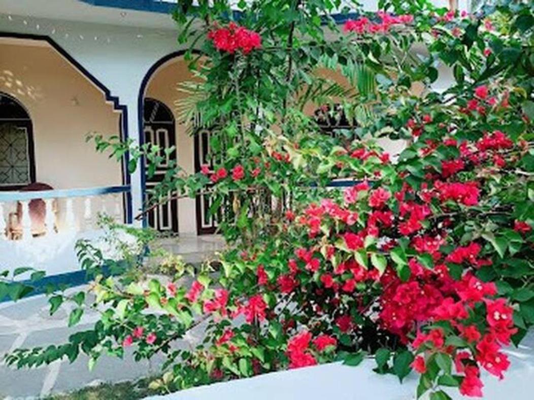 Casa Domingos Guest house